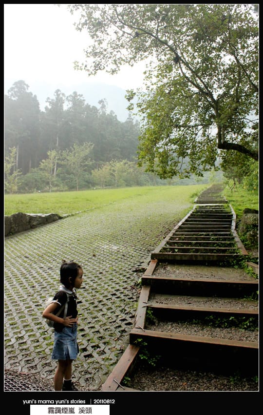 南投之旅：霧靄煙嵐 [ 溪頭 ] 松林町妖怪村、內湖森林小學 NO.1
