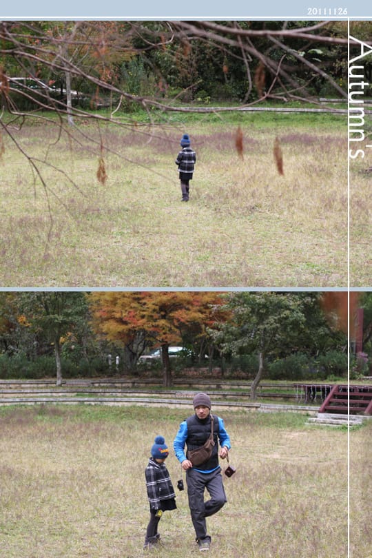 20111126：武陵賞楓冷颼颼
