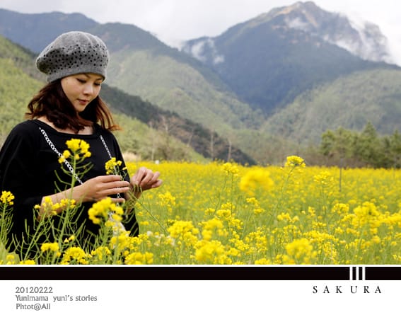 20120222【武陵農場】紛紅春櫻:暴走浪漫 - 第38張圖 20120222【武陵農場】紛紅春櫻:暴走浪漫
