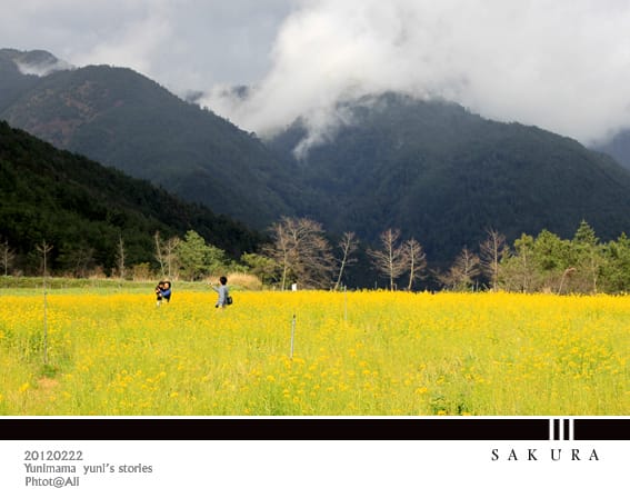 20120222【武陵農場】紛紅春櫻:暴走浪漫 - 第39張圖 20120222【武陵農場】紛紅春櫻:暴走浪漫