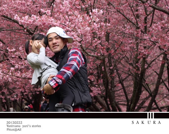 20120222【武陵農場】紛紅春櫻:暴走浪漫 - 第6張圖 20120222【武陵農場】紛紅春櫻:暴走浪漫