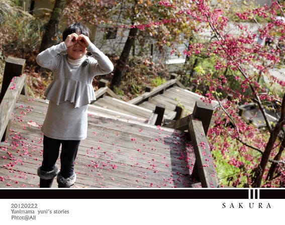 20120222【武陵農場】紛紅春櫻:暴走浪漫 - 第9張圖 20120222【武陵農場】紛紅春櫻:暴走浪漫