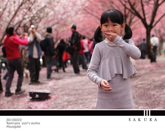 20120222【武陵農場】紛紅春櫻:暴走浪漫 - 第18張圖 20120222【武陵農場】紛紅春櫻:暴走浪漫