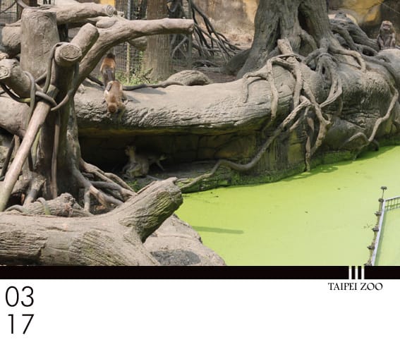 201203Mar：對婗說話│Taipei ZOO