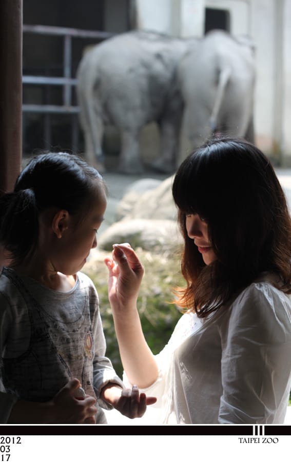 201203Mar：對婗說話│Taipei ZOO