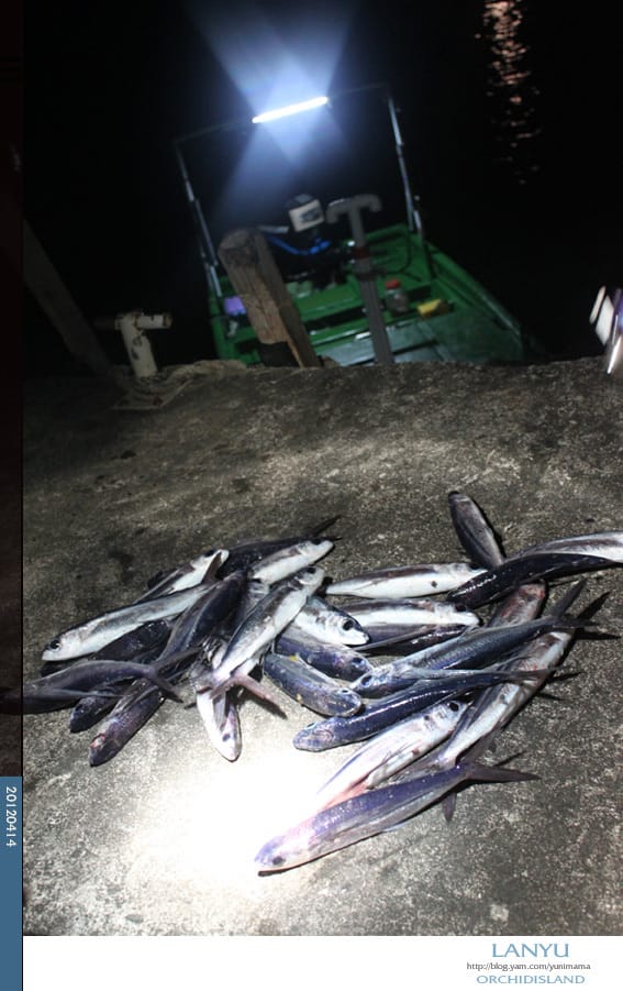 DAY1蘭嶼:閒逛│夜捕飛魚 - 第46張圖 DAY1蘭嶼:閒逛│夜捕飛魚
