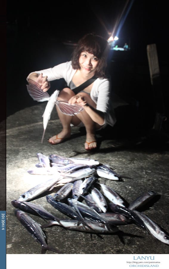 DAY1蘭嶼:閒逛│夜捕飛魚 - 第51張圖 DAY1蘭嶼:閒逛│夜捕飛魚