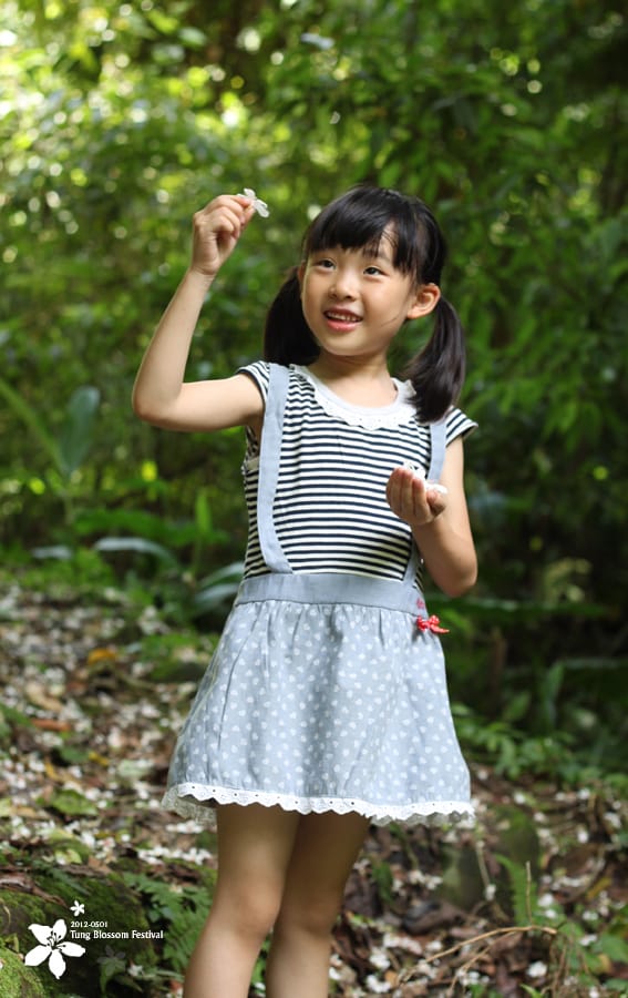 20120501:獅頭山藤坪步道迎桐花.南庄觀螢 - 第31張圖 20120501:獅頭山藤坪步道迎桐花.南庄觀螢