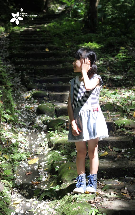 20120501:獅頭山藤坪步道迎桐花.南庄觀螢 - 第18張圖 20120501:獅頭山藤坪步道迎桐花.南庄觀螢