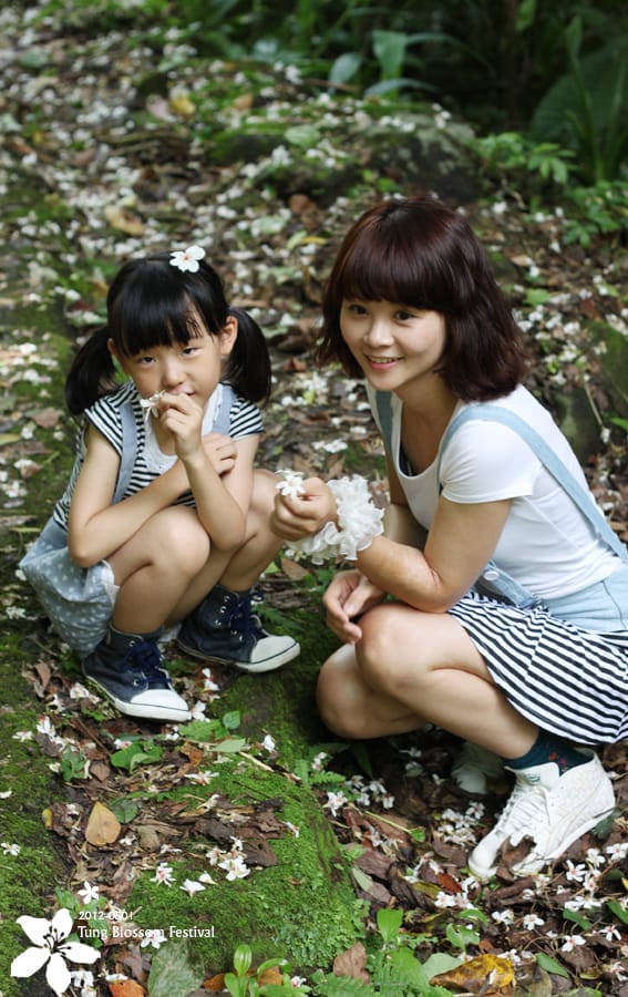 20120501:獅頭山藤坪步道迎桐花.南庄觀螢 - 第8張圖 20120501:獅頭山藤坪步道迎桐花.南庄觀螢