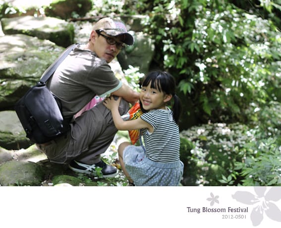 20120501:獅頭山藤坪步道迎桐花.南庄觀螢 - 第22張圖 20120501:獅頭山藤坪步道迎桐花.南庄觀螢