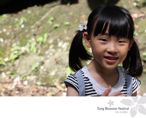 20120501:獅頭山藤坪步道迎桐花.南庄觀螢 - 第28張圖 20120501:獅頭山藤坪步道迎桐花.南庄觀螢