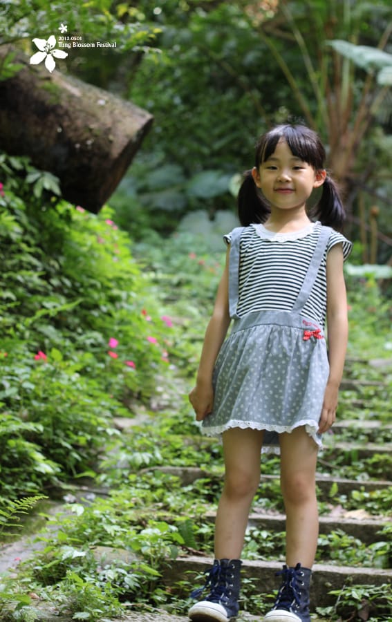 20120501:獅頭山藤坪步道迎桐花.南庄觀螢 - 第17張圖 20120501:獅頭山藤坪步道迎桐花.南庄觀螢