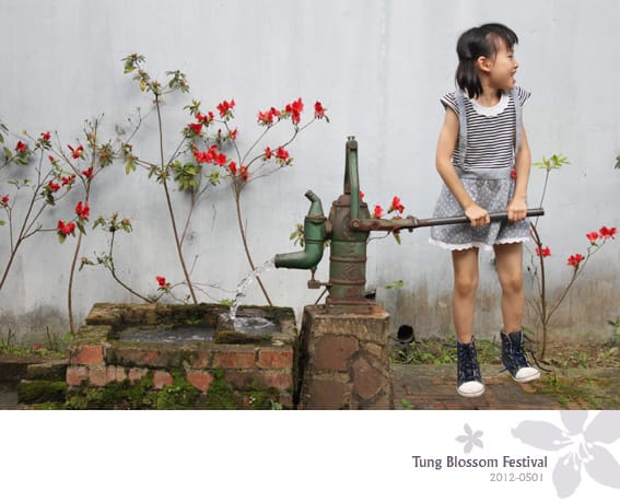 20120501:獅頭山藤坪步道迎桐花.南庄觀螢 - 第37張圖 20120501:獅頭山藤坪步道迎桐花.南庄觀螢
