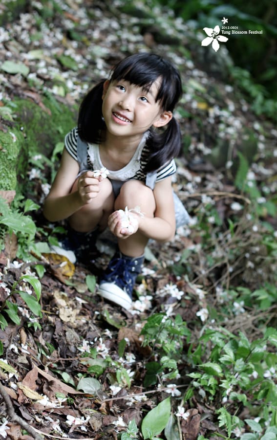 20120501:獅頭山藤坪步道迎桐花.南庄觀螢 - 第30張圖 20120501:獅頭山藤坪步道迎桐花.南庄觀螢