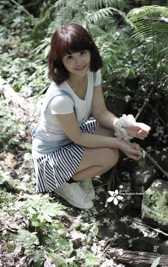 20120501:獅頭山藤坪步道迎桐花.南庄觀螢 - 第25張圖 20120501:獅頭山藤坪步道迎桐花.南庄觀螢