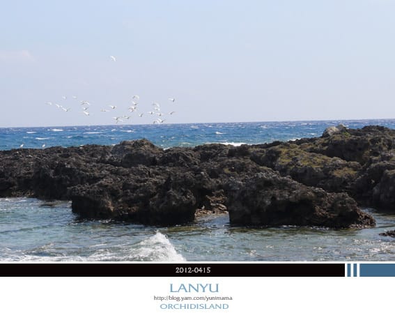 DAY2(下)蘭嶼:環島│貝殼沙灘。夜間探險 - 第14張圖 DAY2(下)蘭嶼:環島│貝殼沙灘。夜間探險
