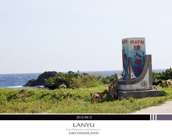 DAY2(下)蘭嶼:環島│貝殼沙灘。夜間探險 - 第24張圖 DAY2(下)蘭嶼:環島│貝殼沙灘。夜間探險