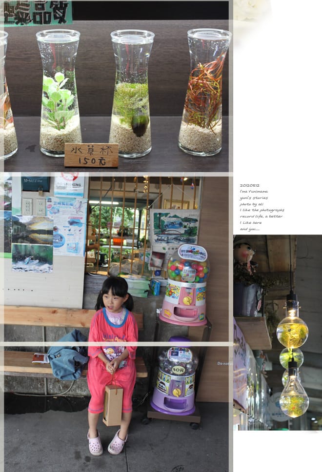 宜蘭│香草菲菲。嘉澎碳烤。勝洋水草。黑店