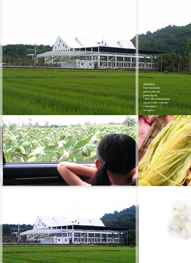 宜蘭│香草菲菲。嘉澎碳烤。勝洋水草。黑店