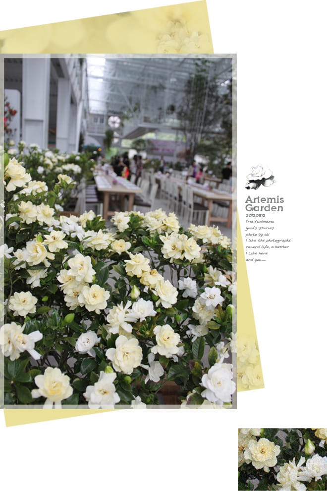 宜蘭│香草菲菲。嘉澎碳烤。勝洋水草。黑店