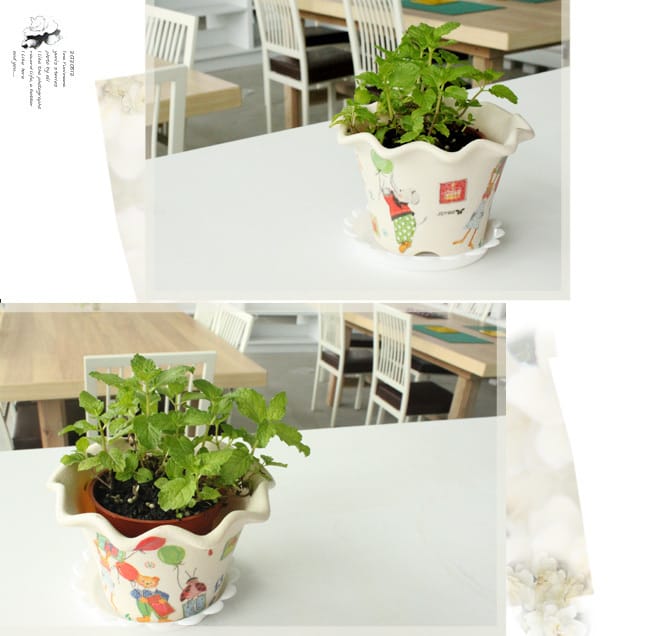 宜蘭│香草菲菲。嘉澎碳烤。勝洋水草。黑店