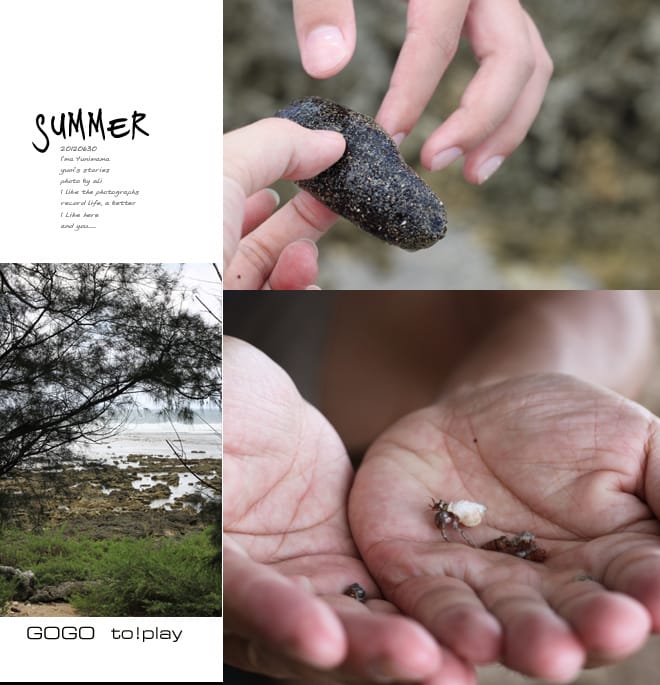仲夏之旅:D1│墾丁。萬里桐。關山。天鵝湖 - 第16張圖 仲夏之旅:D1│墾丁。萬里桐。關山。天鵝湖