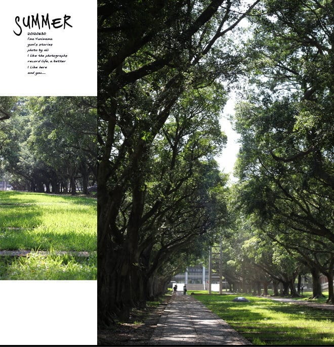 仲夏之旅:D4│宮原眼科:高美濕地 - 第18張圖 仲夏之旅:D4│宮原眼科:高美濕地