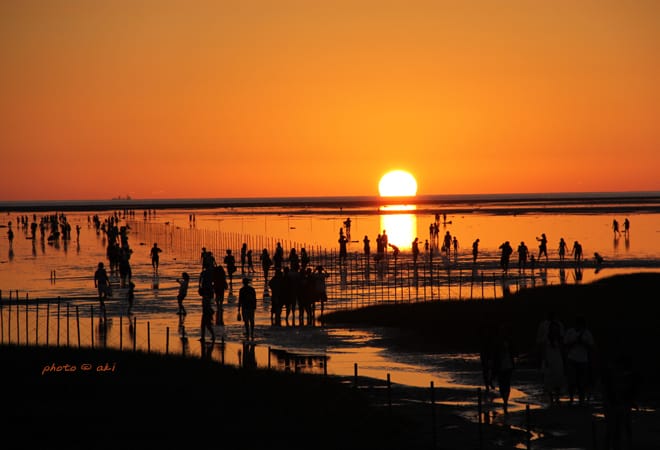 仲夏之旅:D4│宮原眼科:高美濕地 - 第30張圖 仲夏之旅:D4│宮原眼科:高美濕地