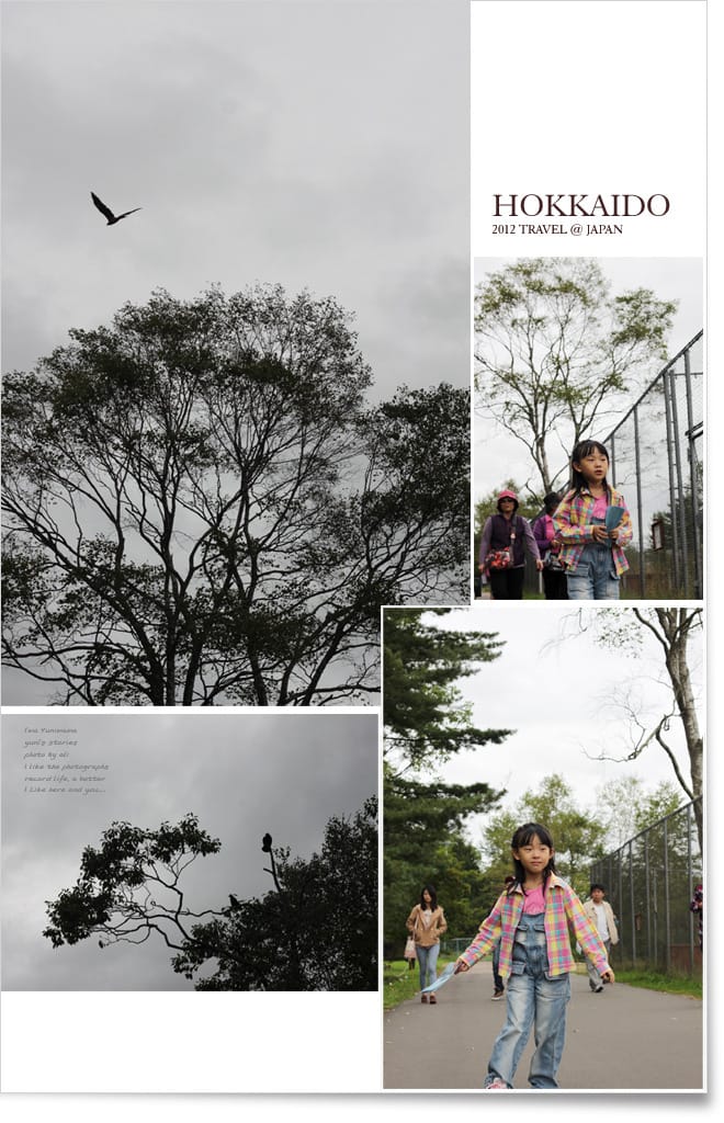 北海道D1:釧路。阿寒湖。丹頂鶴公園 - 第5張圖 北海道D1:釧路。阿寒湖。丹頂鶴公園
