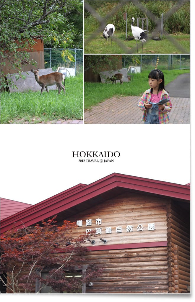 北海道D1:釧路。阿寒湖。丹頂鶴公園 - 第4張圖 北海道D1:釧路。阿寒湖。丹頂鶴公園