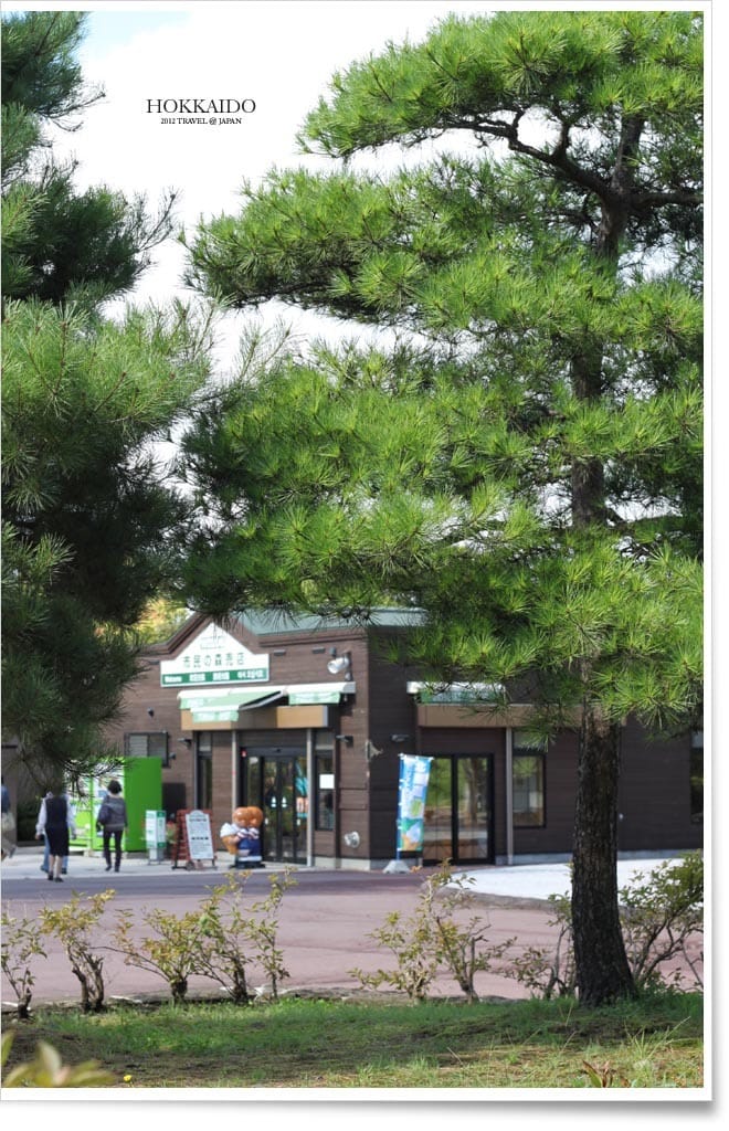 北海道D4：函館│朝巿。牛奶牧場。聖女修院。洞爺湖