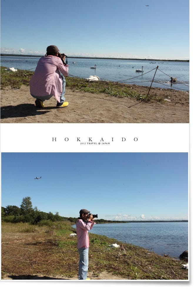 北海道D5:登別。白鳥湖。千歲空港 - 第16張圖 北海道D5:登別。白鳥湖。千歲空港