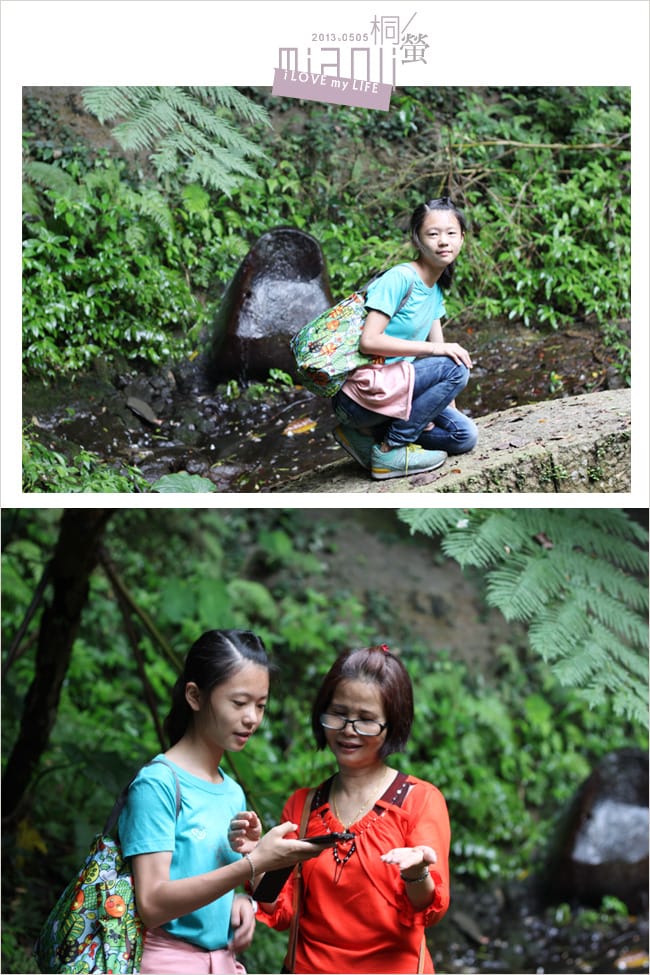 油桐花來得好早之獅頭山│岩川觀螢│仙山仙草 - 第24張圖 油桐花來得好早之獅頭山│岩川觀螢│仙山仙草