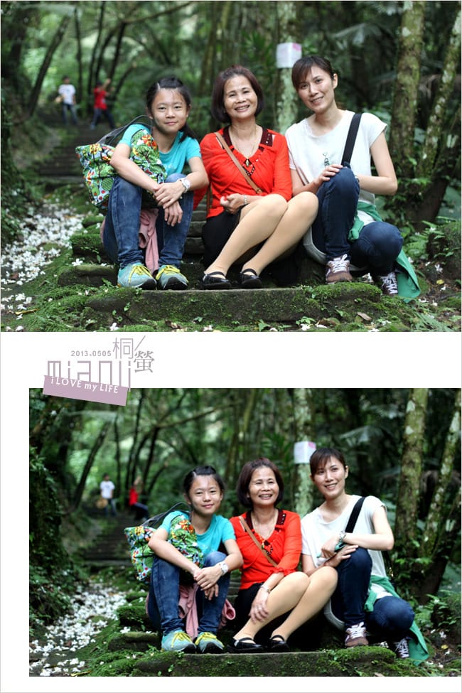 油桐花來得好早之獅頭山│岩川觀螢│仙山仙草 - 第20張圖 油桐花來得好早之獅頭山│岩川觀螢│仙山仙草