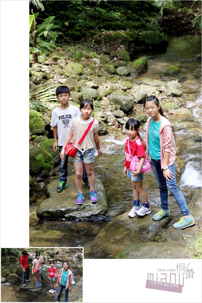 油桐花來得好早之獅頭山│岩川觀螢│仙山仙草 - 第17張圖 油桐花來得好早之獅頭山│岩川觀螢│仙山仙草