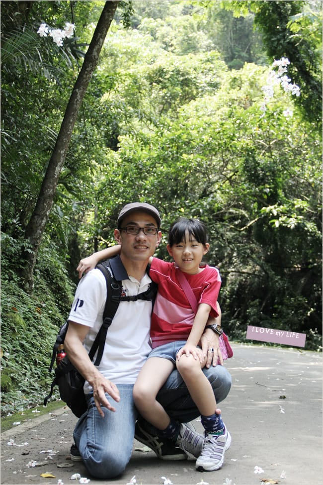 油桐花來得好早之獅頭山│岩川觀螢│仙山仙草 - 第9張圖 油桐花來得好早之獅頭山│岩川觀螢│仙山仙草