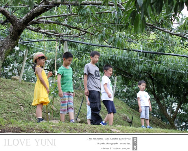 快樂小二：生活分享│婗寄給我的一封信：拉拉山小遊記