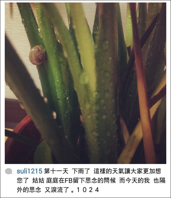 20131103Goodbye’My Dearest Grandmother│奶奶的最後記憶 - 第16張圖 20131103Goodbye’My Dearest Grandmother│奶奶的最後記憶