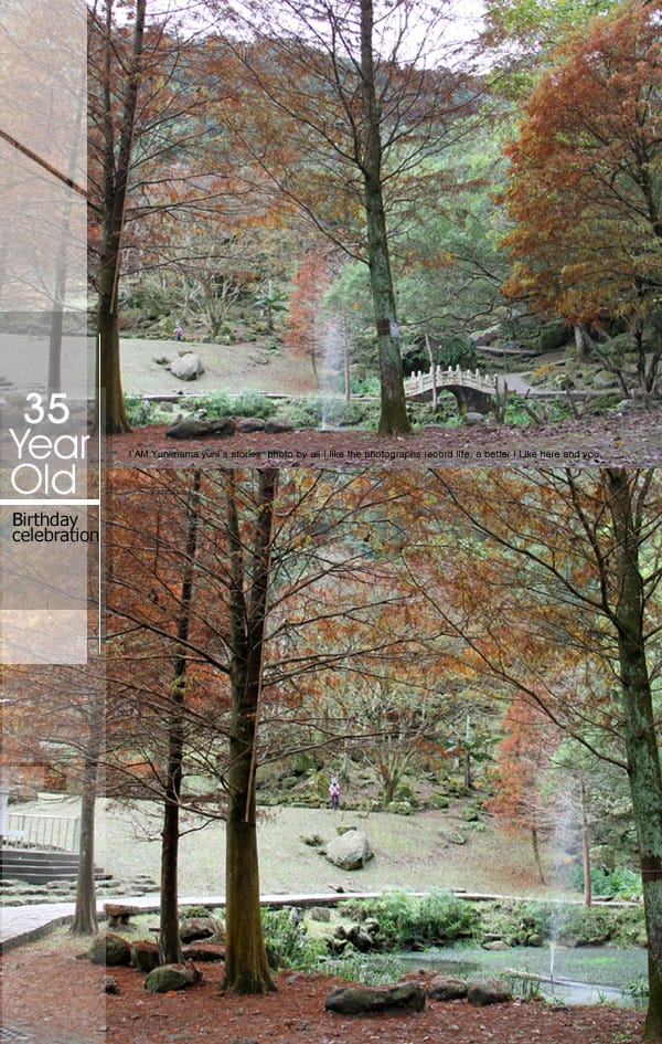 我的35年:生日小旅行│台中熊展│石門落雨松 - 第23張圖 我的35年:生日小旅行│台中熊展│石門落雨松