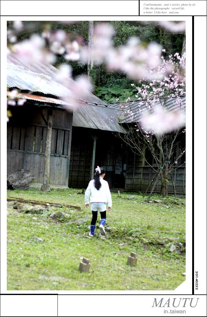 馬武督綠光森林:NO1│馬赫坡製材場 - 第20張圖 馬武督綠光森林:NO1│馬赫坡製材場
