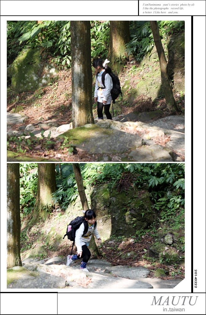 馬武督綠光森林:NO2│綠光小學之粉紅佳人 - 第56張圖 馬武督綠光森林:NO2│綠光小學之粉紅佳人