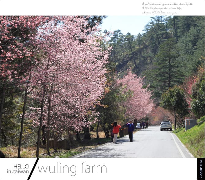 20140227武陵農場│遲而美的櫻花宴 - 第75張圖 20140227武陵農場│遲而美的櫻花宴