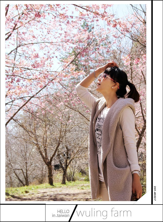20140227武陵農場│遲而美的櫻花宴 - 第57張圖 20140227武陵農場│遲而美的櫻花宴
