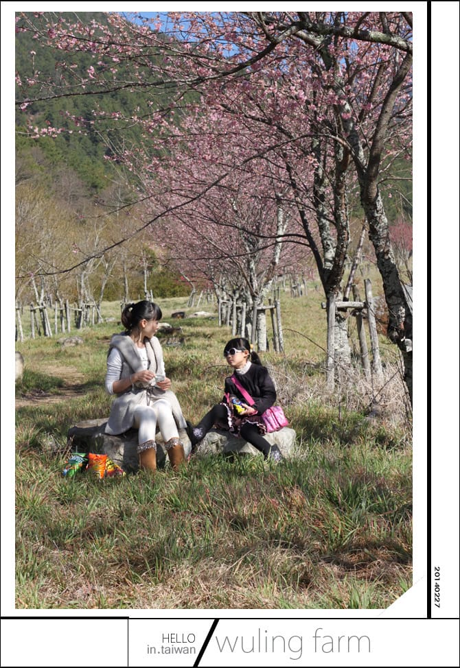 20140227武陵農場│遲而美的櫻花宴 - 第8張圖 20140227武陵農場│遲而美的櫻花宴