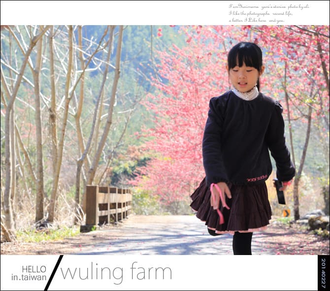 20140227武陵農場│遲而美的櫻花宴 - 第54張圖 20140227武陵農場│遲而美的櫻花宴