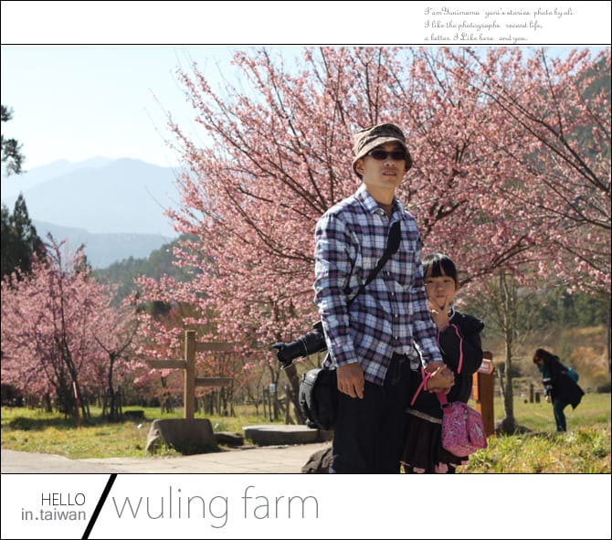 20140227武陵農場│遲而美的櫻花宴 - 第27張圖 20140227武陵農場│遲而美的櫻花宴
