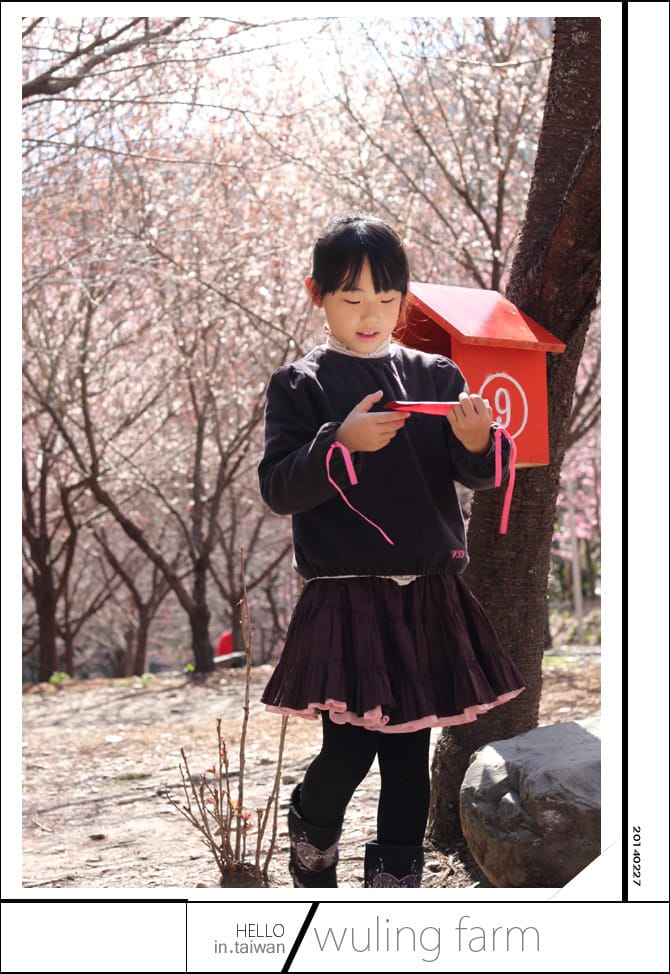 20140227武陵農場│遲而美的櫻花宴 - 第147張圖 20140227武陵農場│遲而美的櫻花宴
