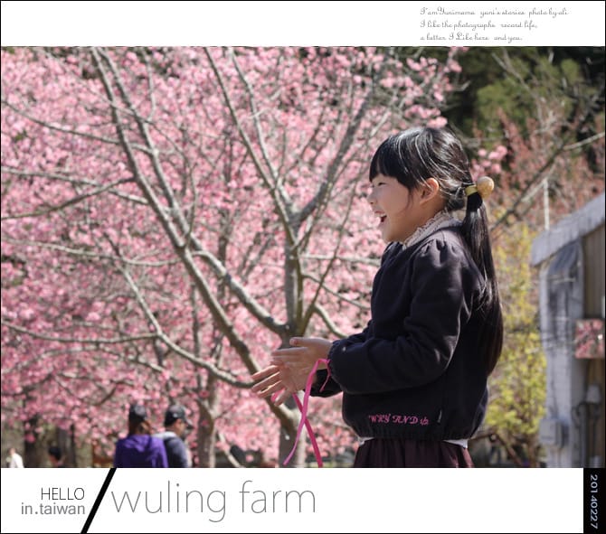 20140227武陵農場│遲而美的櫻花宴 - 第144張圖 20140227武陵農場│遲而美的櫻花宴