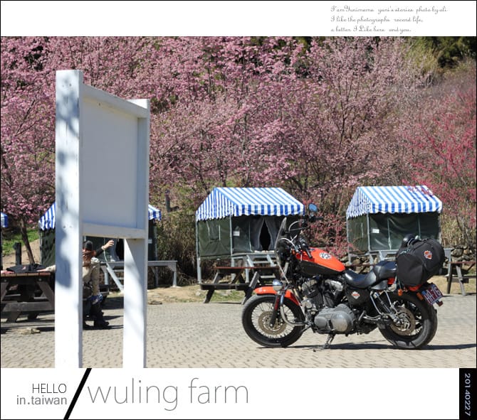 20140227武陵農場│遲而美的櫻花宴 - 第103張圖 20140227武陵農場│遲而美的櫻花宴